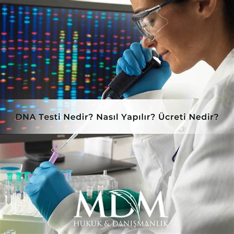 Dna Testi Nedir Nas L Yap L R Creti Nedir Babal K Annelik Testi