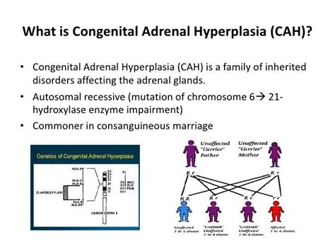 Congenital Adrenal Hyperplasia Congenital Adrenal Hyperplasia Images