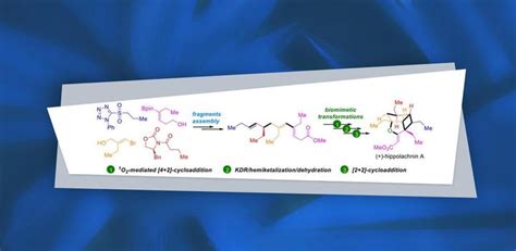 清华大学药学院唐叶峰课题组organic Letters：天然产物 Hippolachnin A的形式仿生合成及生源合成途径探究 知乎