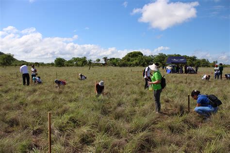 MiAMBIENTE Veraguas realiza Jornada de Restauración Forestal PNRF 2023