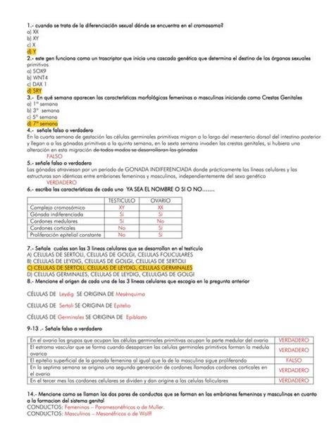 Examen Embriología Genitales Zahira Valdez uDocz