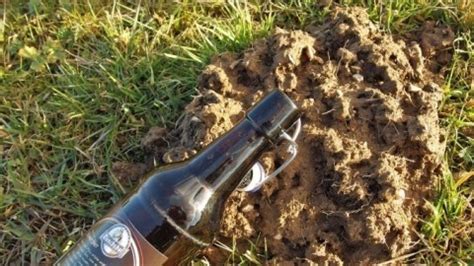 Gegen Maulwurf Im Garten Leere Flasche Frag Mutti