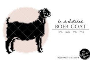 Boer Goat Sketch Vector Graphic by thesilhouettequeenshop · Creative ...