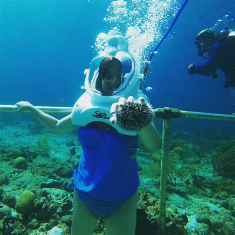 Sea Trek Helmet Dive At Coral World Ocean Park 2021 St Thomas