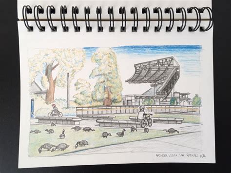 Husky Stadium From Rainier Vista Sketch Rseattle