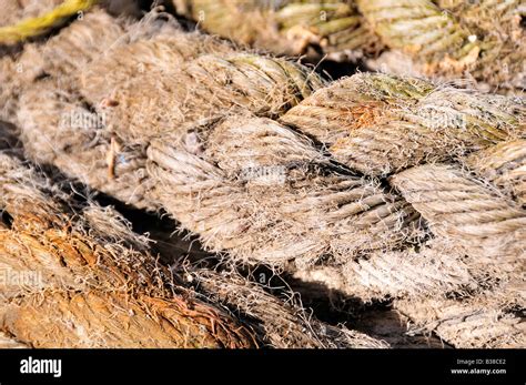 Schiffe Seil Stockfotos Und Bilder Kaufen Alamy