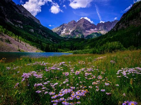 The Best Hikes In Denver For Viewing Wildflowers