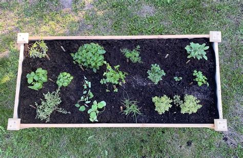 Home Gardening Benefits Of Using Raised Garden Beds Agdaily