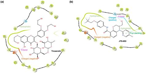 Applied Sciences Free Full Text Drugtarget Interaction Deep