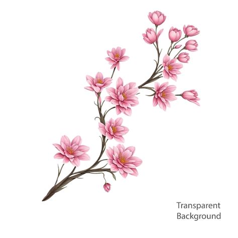 Premium PSD Pink Flower Branch Illustration Transparent Background