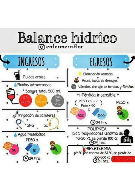 Balance H Drico Enfermer A Udocz