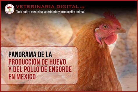 Panorama de la producción de huevo y del pollo de engorde en México