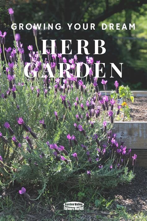 Growing Your Dream Herb Garden — Garden Valley Farmers Market