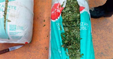 Decomisan 120 Kilos De Hoja De Coca En La Libertad Sociedad La