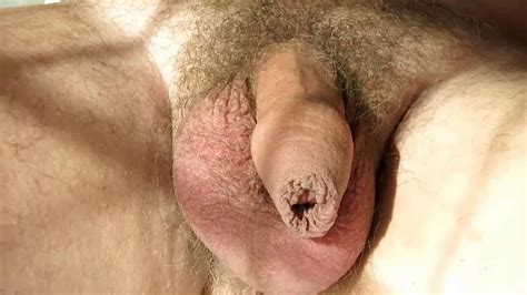 Pula Mea Romanian Gay Bear Bear Porn Xhamster