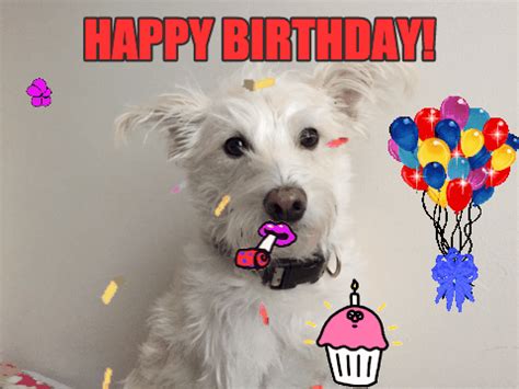 Dog Singing Happy Birthday Gif - gif