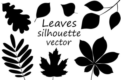 Leaves Silhouette. Autumn Leaves Vector Graphic by shishkovaiv ...