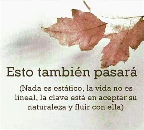 A Leaf That Is Laying On Top Of A Piece Of Paper With Spanish Words