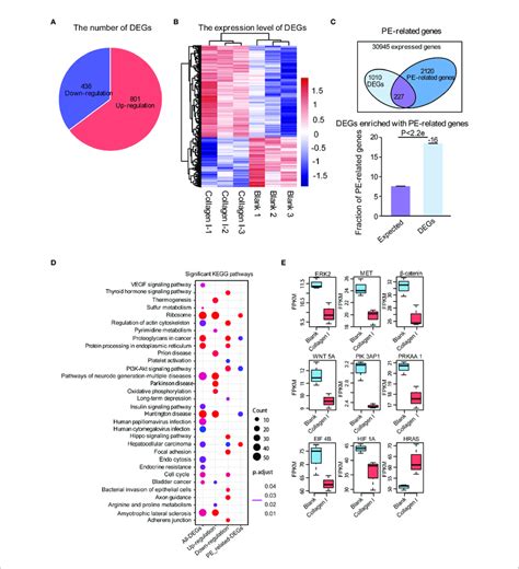 Collagen I Induce Transcriptional Changes In Htr Sv Neo Cells