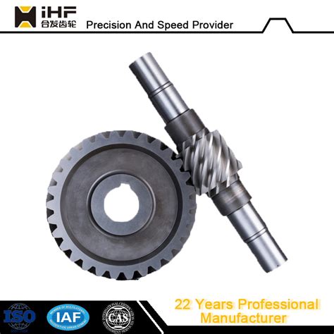 Ihf OEM Customized Stainless Steel Spur Worm Wheel Gear Gear And Worm