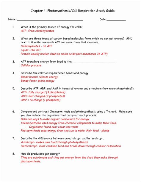 Photosynthesis And Respiration Model Answer Key Photosynthes