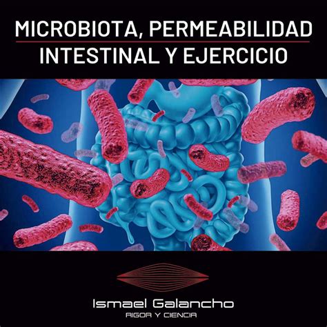 Microbiota Permeabilidad Intestinal Y Ejercicio Ismael Galancho