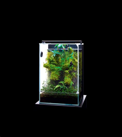 Paludarium Aqua Zones