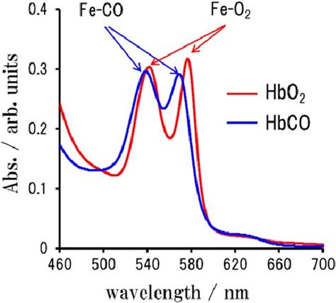 Color Online Q Band Absorption Spectra For Hbo 2 Red Line And Hbco Download Scientific