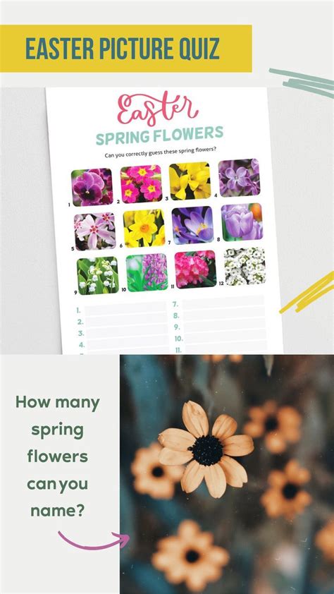 Spring Flowers Picture Quiz Worksheets Library