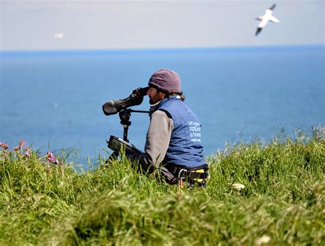 Small scale wildlife surveys can reveal the health of entire ecosystems