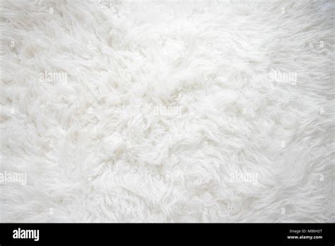 White Fluffy Carpet Cozy Texture White And Soft Stock Photo Alamy