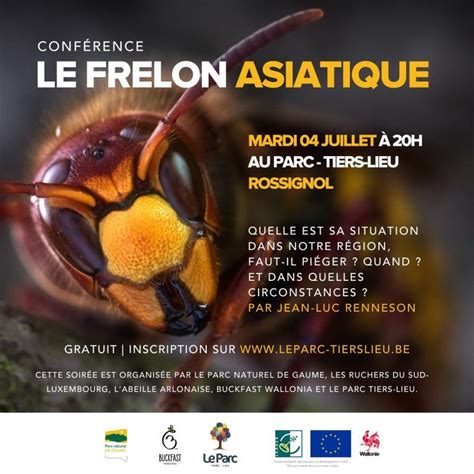 Conf Rence Le Frelon Asiatique Parc Naturel De Gaume