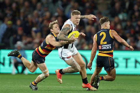 Collingwood Vs Adelaide Crows Tips Preview Pies To Bounce Back In AFL