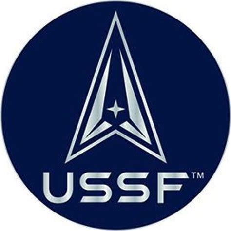 Pin USSF Space Force Round 1 - Etsy Canada in 2022 | Pin, Metal pins, Lapel pins