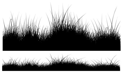 black grass silhouette 6332563 Vector Art at Vecteezy