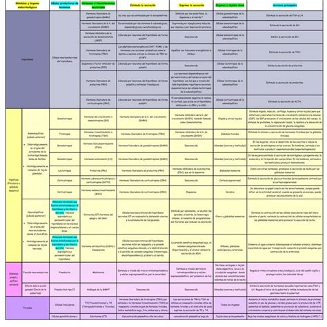 Tabla de glándulas y función endocrina entre otros Kenzo L Morales