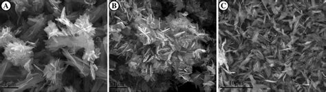 SEM Image Of A CuO ZnO Nanocomposite B Zn Oxide Nanoparticles C