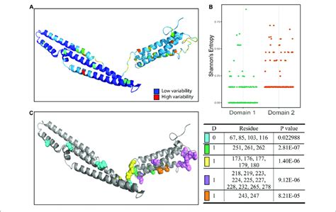 Amino Acid Sequence Variability And Coevolutionary Clusters In Each