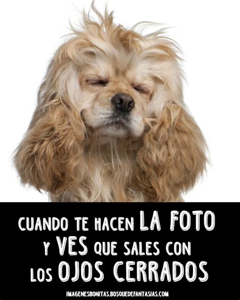 Imagenes Graciosas Para Foto De Perfil 50 Imagenes Chistosas Para