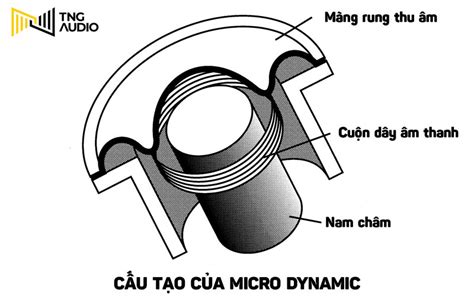 kien thuc  ban ve micro transducers bup huong va tan  dap ung