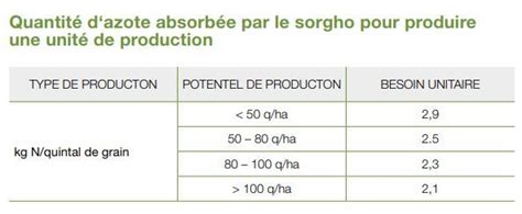 T Moignage Sorgho Grain Une Premi Re Campagne Prometteuse Chez