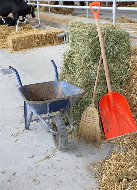 Stable cleaning stock photo. Image of animals, person - 13127570