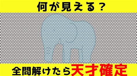 【ゆっくり解説】これ見える？分かるあなたは天才！錯覚クイズ！ Youtube