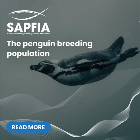 The penguin breeding population - SAPFIA