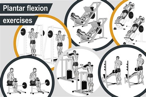 Plantar Flexion Exercises