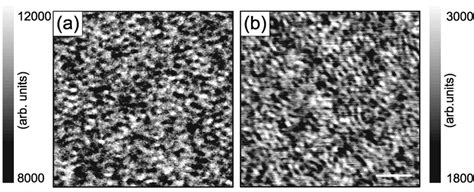 Two Dimensional Near Field Optical Image Of The Integrated Intensity Of