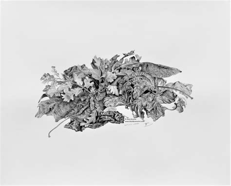 Pencil drawing. Autumn Leaves. - Mark Bremer