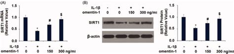 Full Article The Protective Role Of Omentin In Il Induced