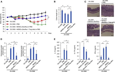 Adoptive Transfer Of Wild Type Treg Cells Improves The Download