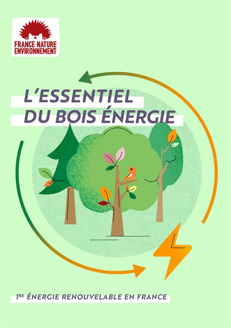 Lessentiel Du Bois énergie France Nature Environnement